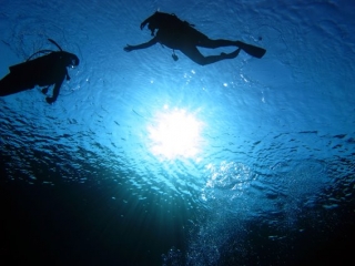 buceando en media luna